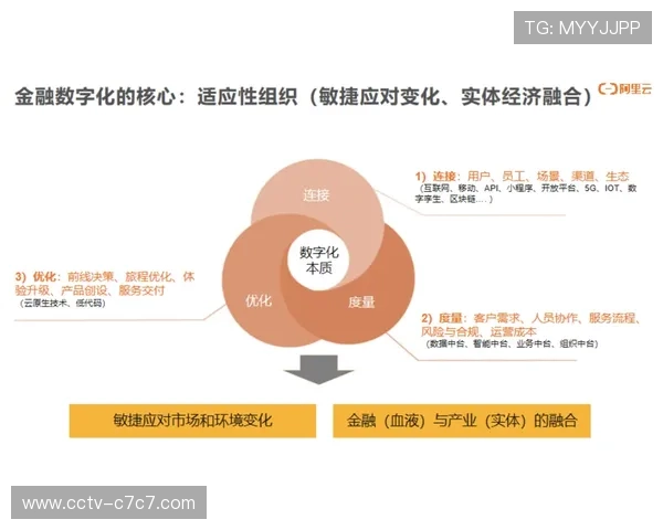 体育产业数字化转型指数发布 引导高质量发展